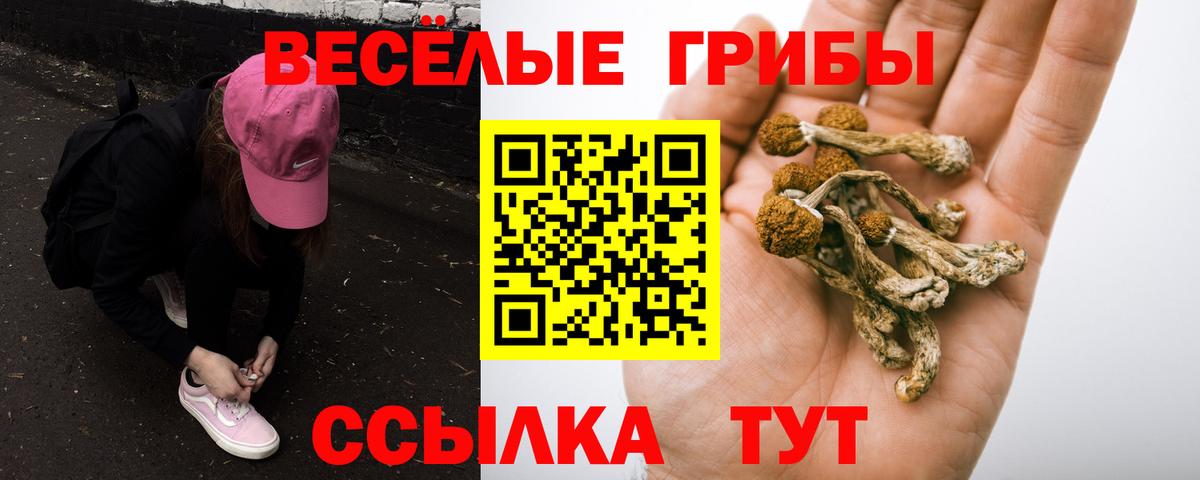 Псилоцибиновые грибы мухоморы  Вход с VPN  Псилоцибиновые грибы Cubensis  Москва 